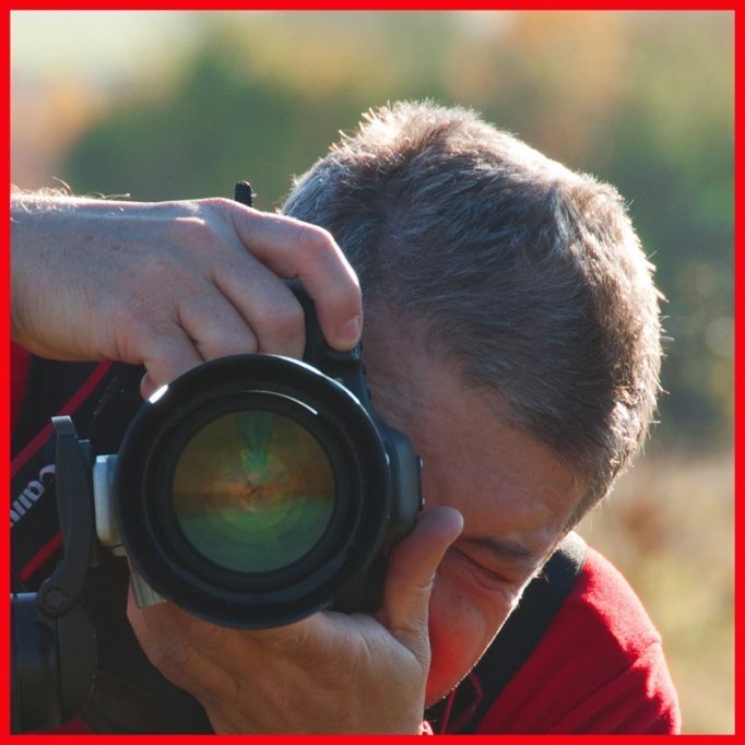 Dan Gavanescu - fotograf