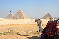 Top 3 recomandări pentru cea mai reușită vacanță în Egipt