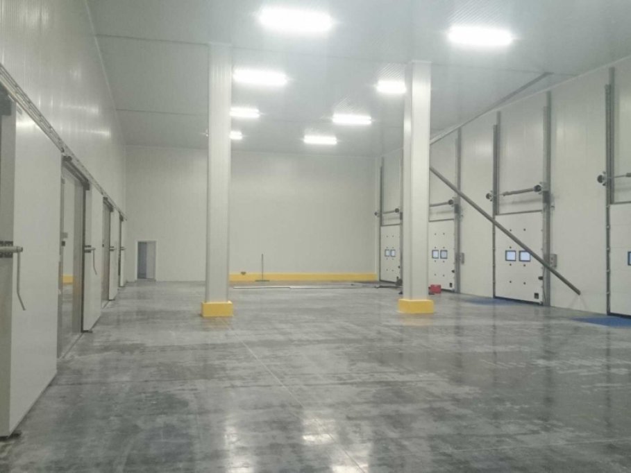 Raf Ali Frigo Construct