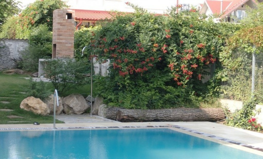 Agentia imobiliara Regatta