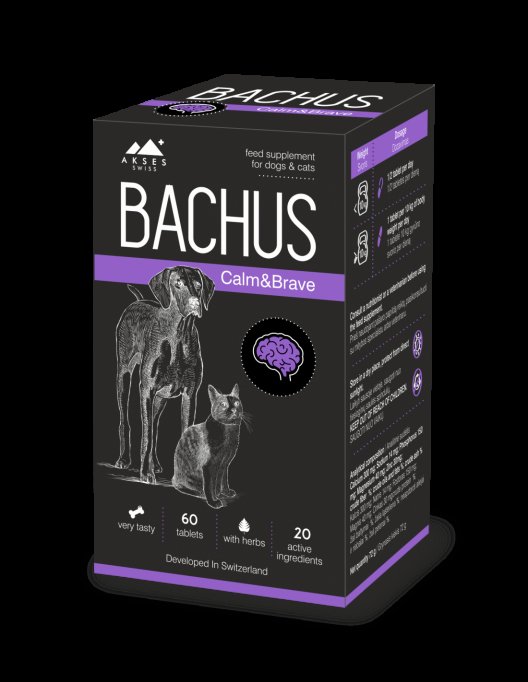 Tips&tricks: de ce este recomandat sa cumperi medicamente veterinare de specialitate pentru animalele tale de companie?