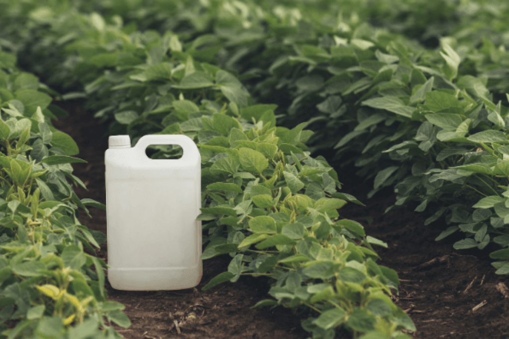 Insecticide - cum faci cea mai buna alegere pentru cultura ta