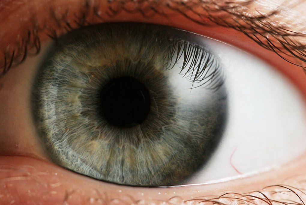 Clinica oftalmologica Oftalux