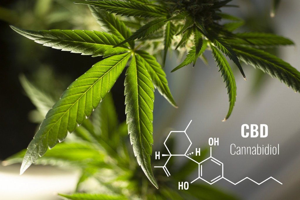 CBD - benefic în lupta cu Covid-19? ”S-a dovedit a fi remarcabil de eficient”