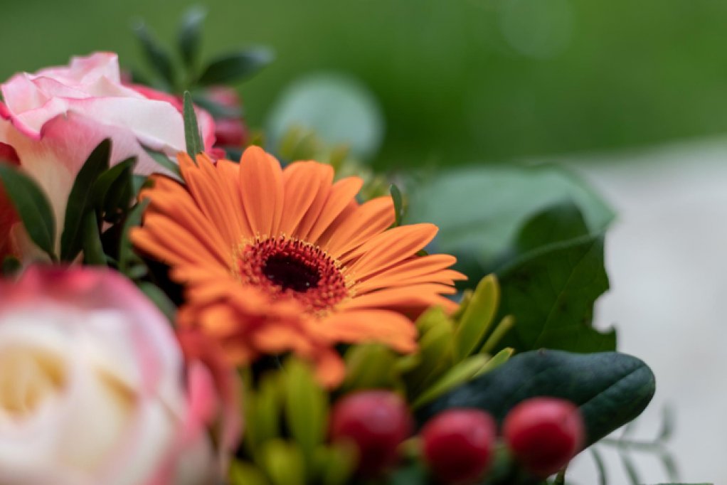 Cauti servicii funerare profesionale in Bucuresti?