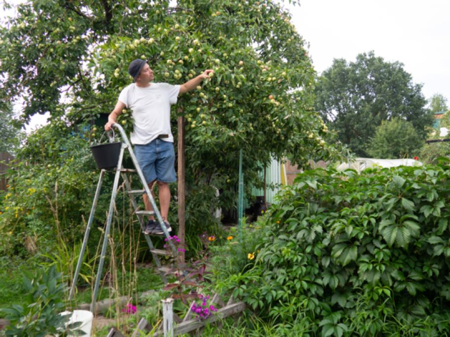 Pregătește-ți grădina pentru sezonul de cultivare