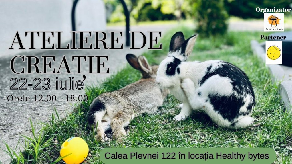 Ateliere de creatie