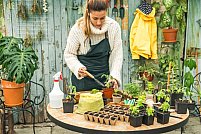 Blogurile de casă și grădină: surse excelente de informații pentru renovarea spațiilor locative