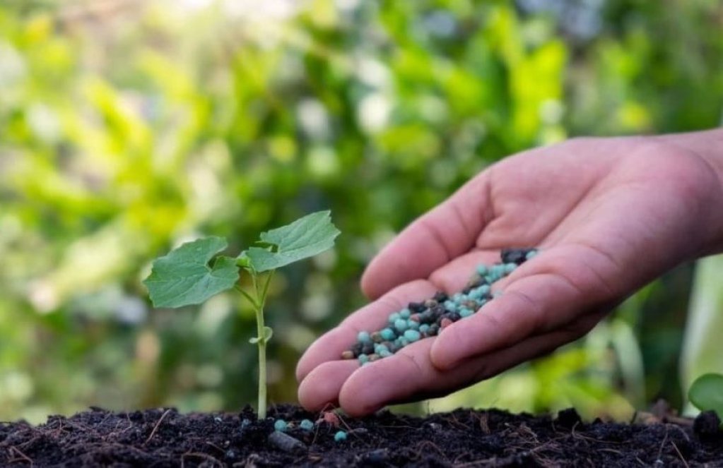 Ce îngrășăminte minerale sunt alese de principalele societăți agricole
