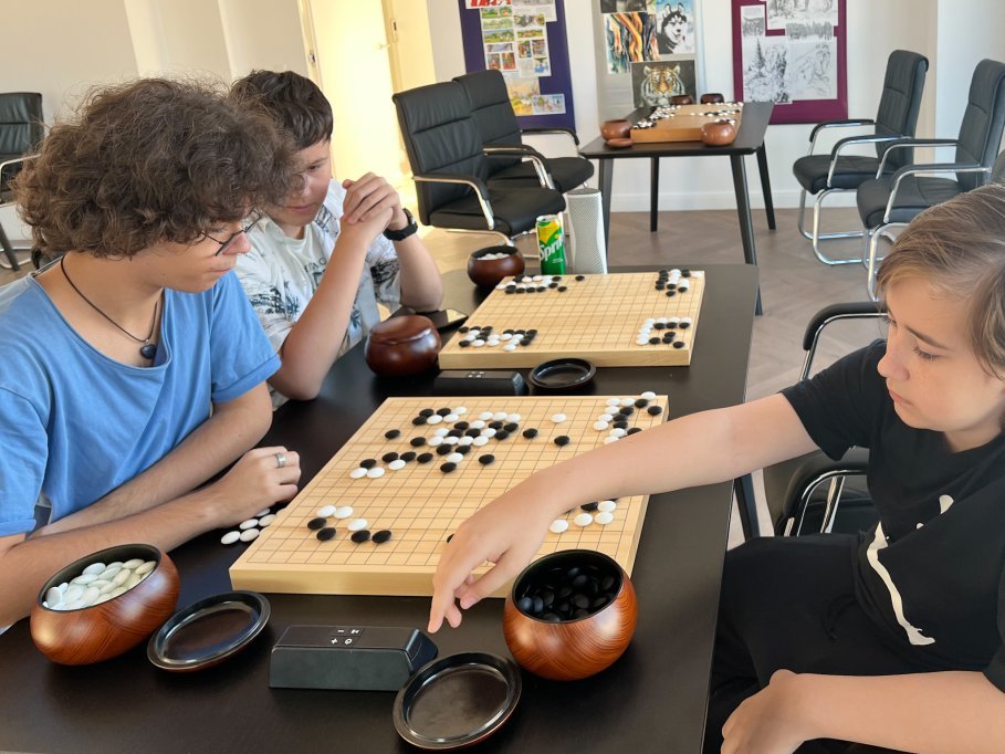 Asociatia Clubul Sportiv GoGoblins
