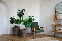 5 moduri în care designerii de interior folosesc trendul botanic în proiectele de amenajări interioare