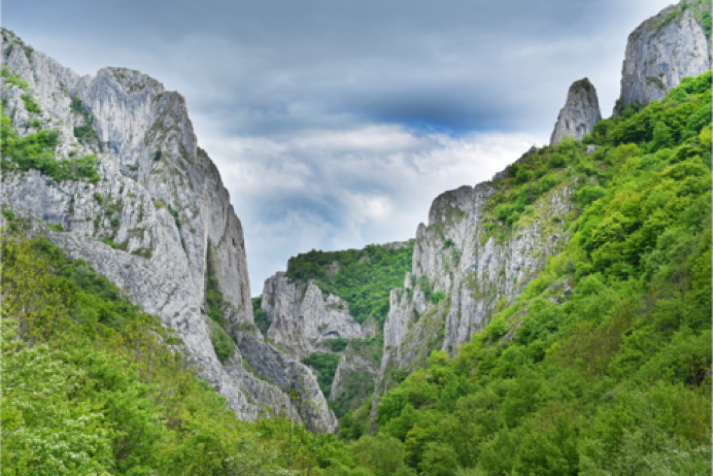 Reconectare la natură și relaxare: drumeții în județul Cluj