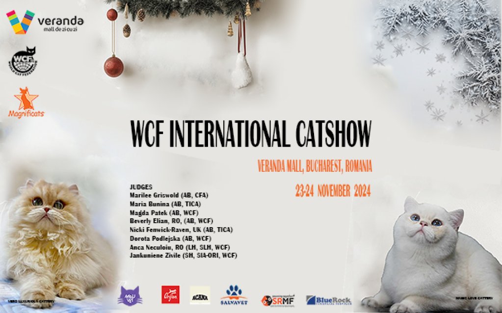 Magnificats 2024 - Expoziție internațională de pisici de rasă WCF la Veranda Mall