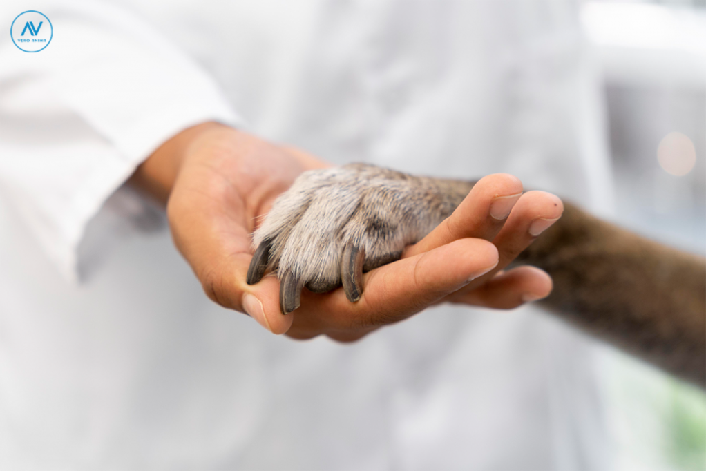 Cum să îngrijești animale de companie și animale de fermă folosind unguente pentru animale?