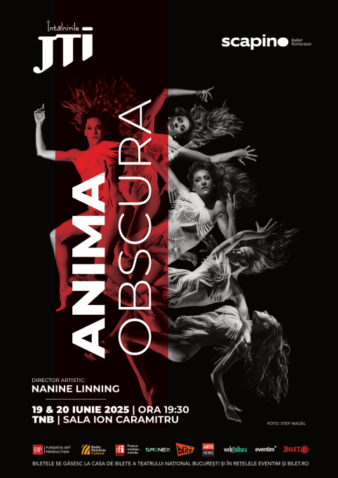 Anima Obscura