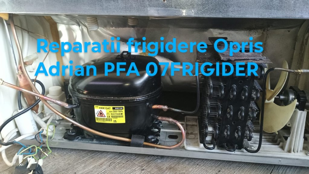 Opris M. Adrian PFA
