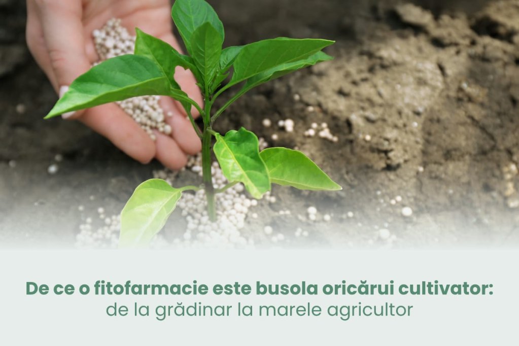 De ce o fitofarmacie este busola oricărui cultivator: de la grădinar la marele agricultor