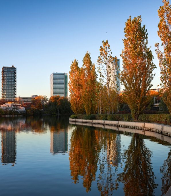 Avantajele de a locui în cartierul Floreasca din București