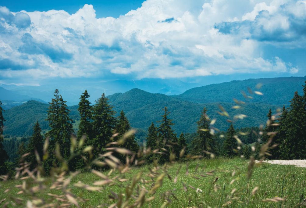 3 destinații de camping din apropierea Bucureștiului: experiențe off-road și natură pentru pasionații de aventură