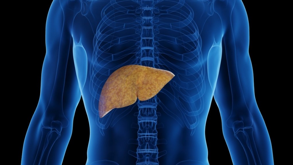 Ce este steatoza hepatică și cum poate fi prevenită?