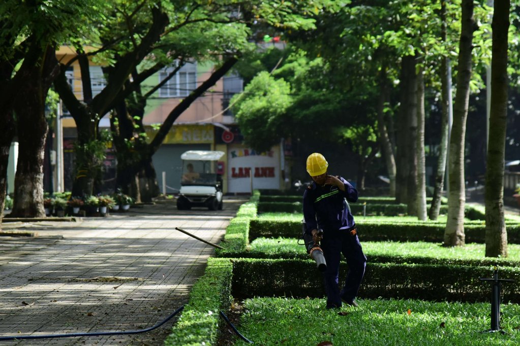5 echipamente ergonomice pentru îngrijirea grădinii fără efort