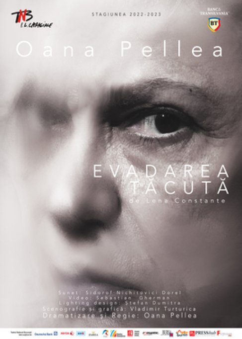 Evadarea tacuta