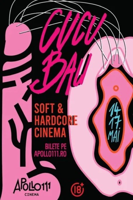 Avangarda feministă + queer și pornografia