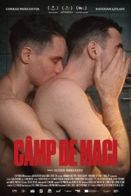 Câmp de maci