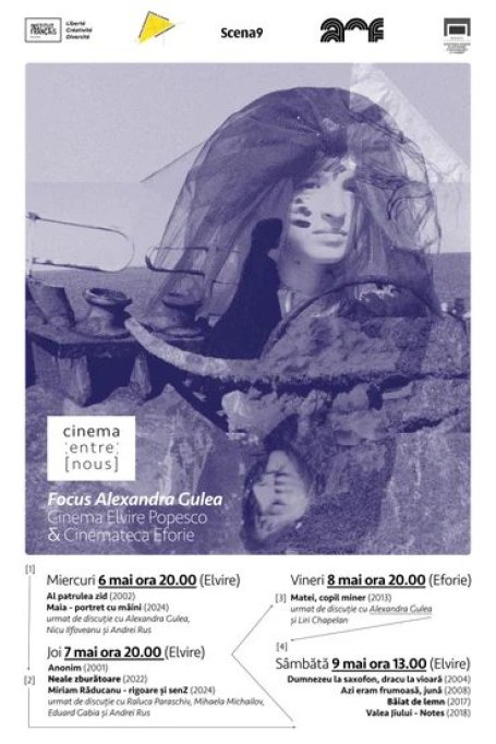 Retrospectivă Alexandra Gulea