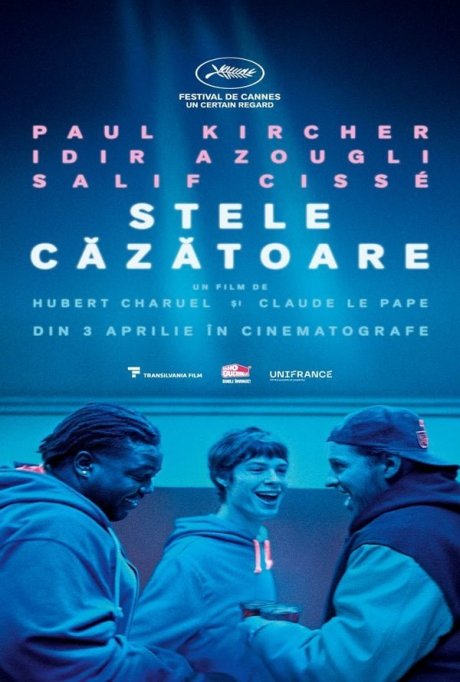 Stele cazatoare