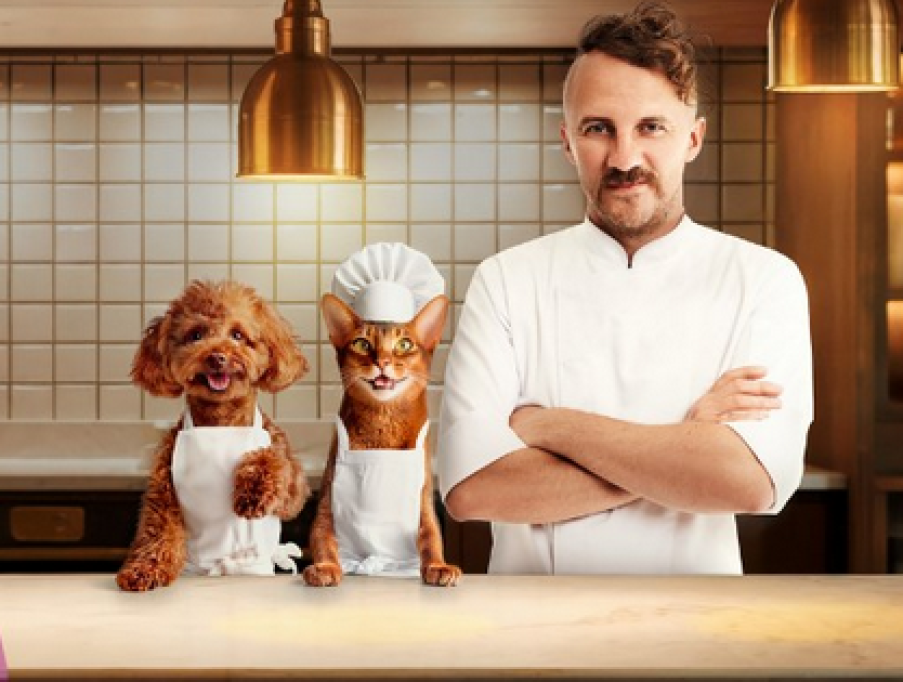 Piața românească a pet food: cum se schimbă obiceiurile proprietarilor de animale de companie din București