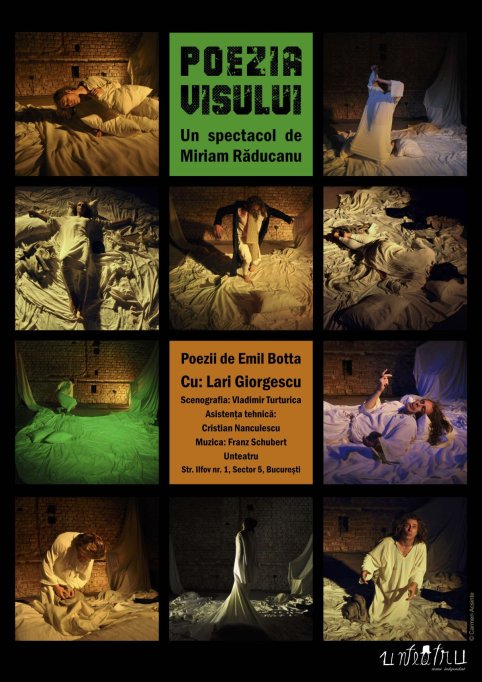 Poezia visului