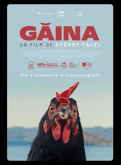 Găina